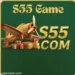 S55 Game