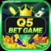 Q5 Bet Game